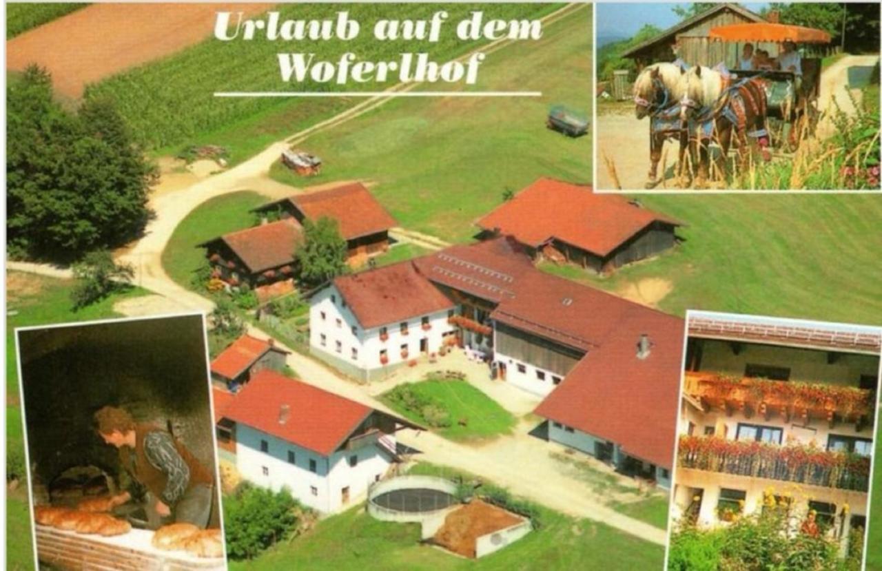 Woferlhof, Ferienhof Boxhorn Böbrach Extérieur photo