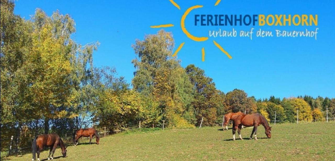 Woferlhof, Ferienhof Boxhorn Böbrach Extérieur photo